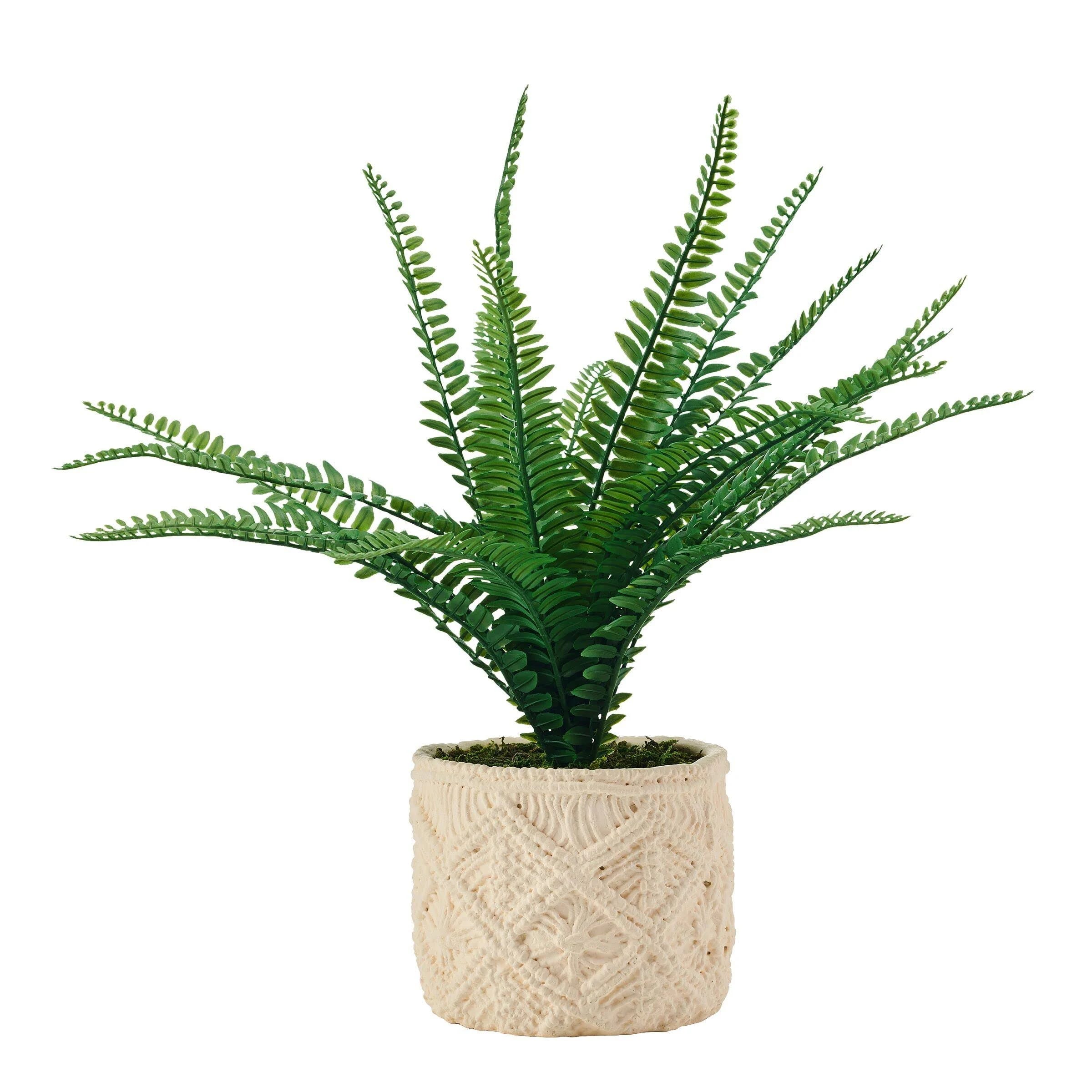 Realistic Artificial Fern Greenery with Elegant Beige Pot | Image