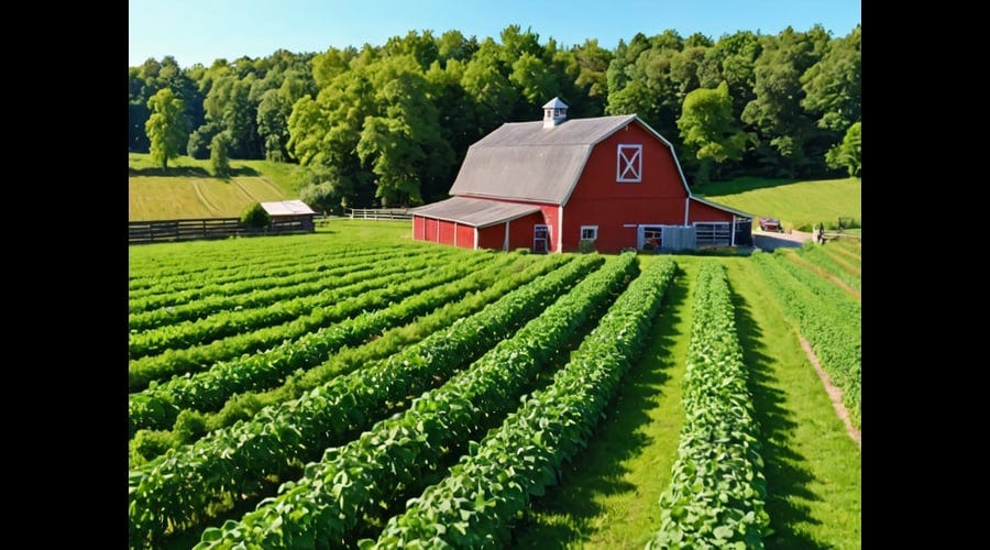 Country-Farms-Super-Greens-1