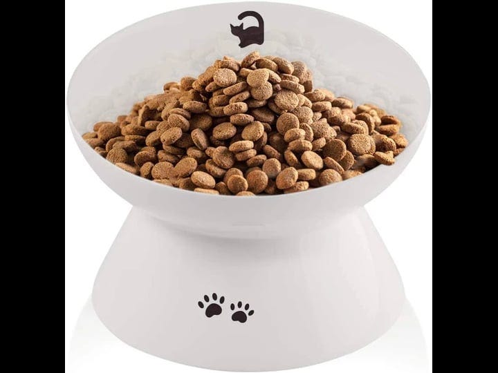 immaculife-ceramic-raised-cat-food-bowl-slanted-cat-dish-tilt-angle-protect-cats-spine-stress-free-b-1