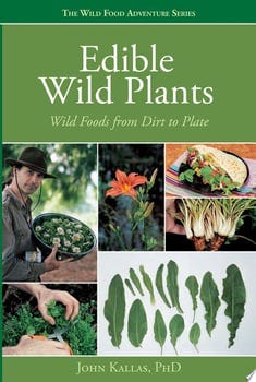edible-wild-plants-52689-1