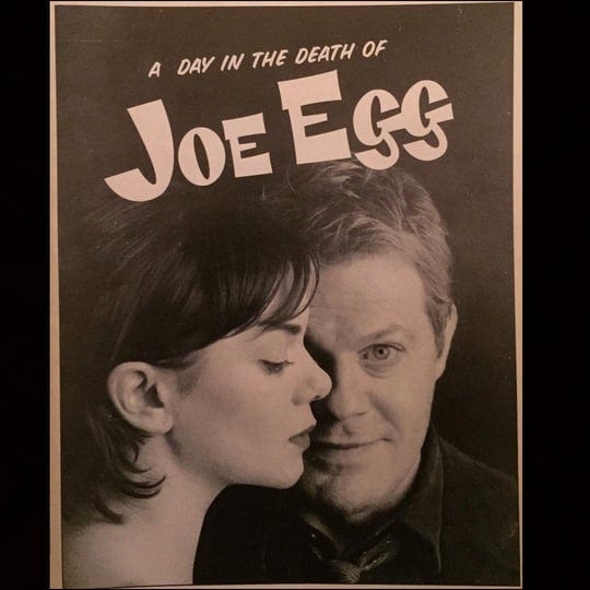 a-day-in-the-death-of-joe-egg-4713087-1