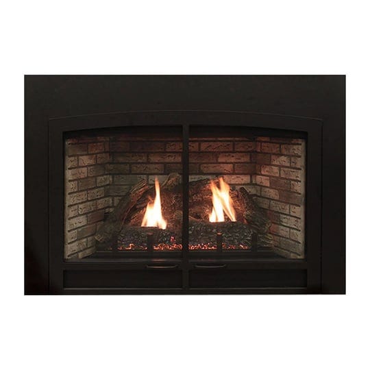 empire-innsbrook-small-clean-face-direct-vent-gas-insert-dvc20in-1