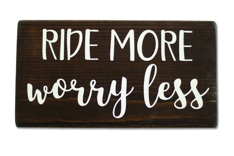 kelley-and-company-ride-more-worry-less-shelf-sitter-1