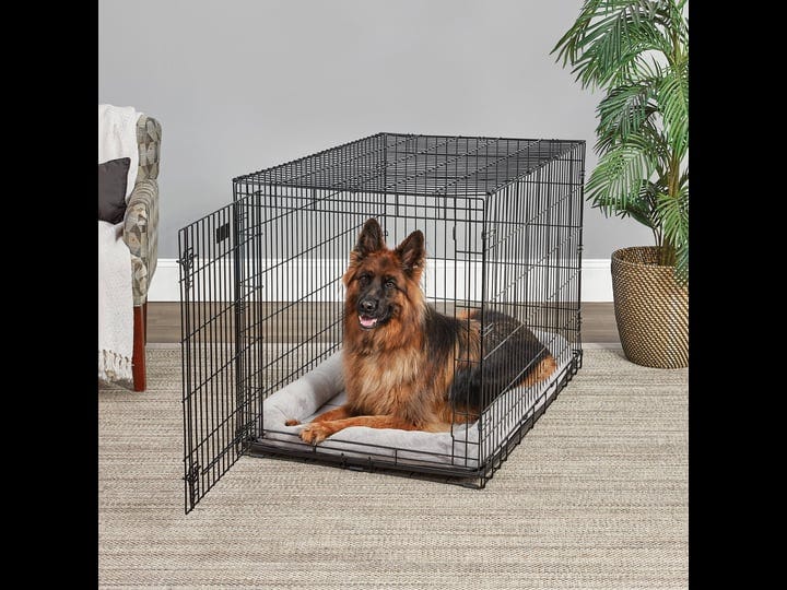 midwest-life-stages-single-door-dog-crate-49