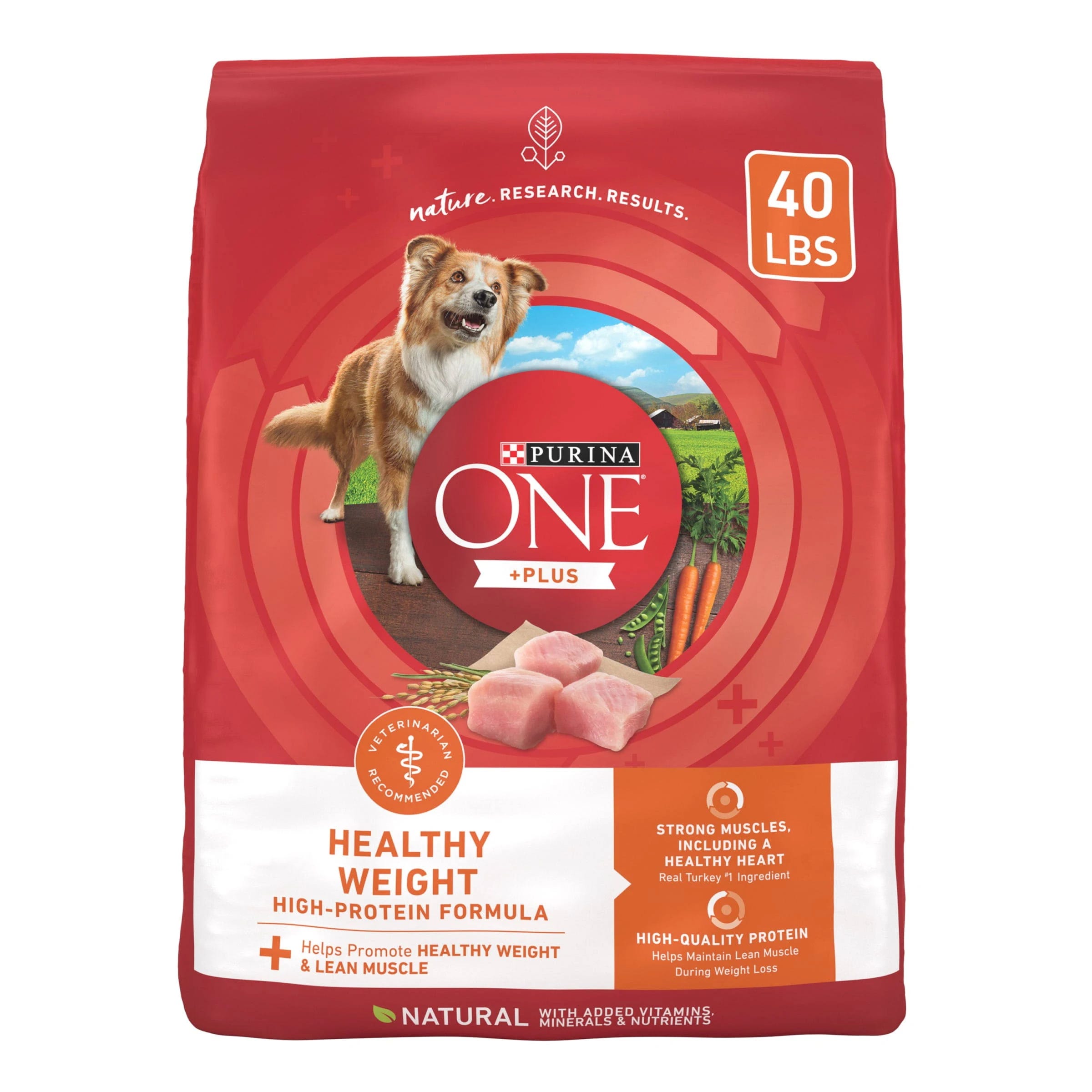 Purina One Plus - High Protein, Low Fat Dog Food for Adults | Image