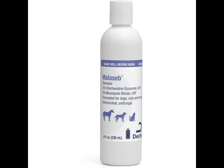 malaseb-shampoo-8-oz-1