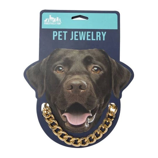 gold-chain-pet-jewelry-1