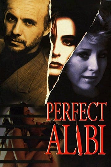 perfect-alibi-4329412-1