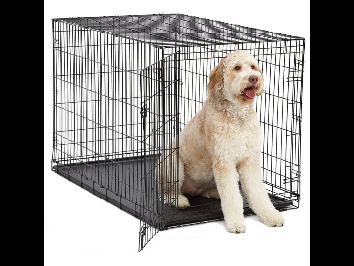 midwest-icrate-single-door-folding-dog-crate-48-x-33-x-31