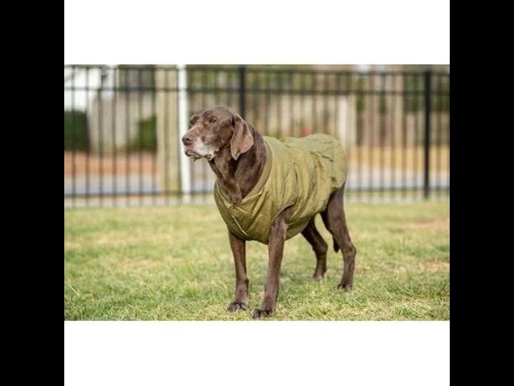 green-christmas-dog-jacket-boxdog-soft-green-dog-jacket-with-waterproof-inner-lining-i-dog-coats-for-1