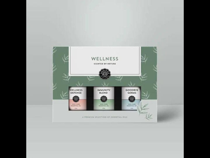 the-wellness-essential-blend-oil-collection-1