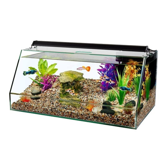 top-fin-10-gallon-angled-aquarium-tank-in-white-petsmart-1