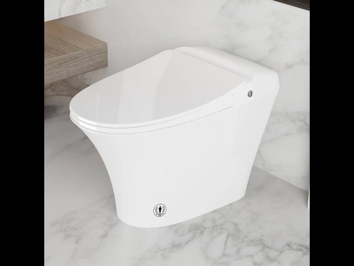 superflo-st-3-smart-luxury-one-piece-bidet-toilet-with-auto-powerful-flush-remote-control-warm-washi-1