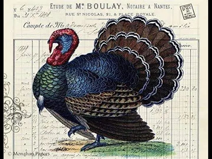 thanksgiving-placemats-paper-placemats-disposable-placemats-for-dining-table-mats-pk-50-turkey-1