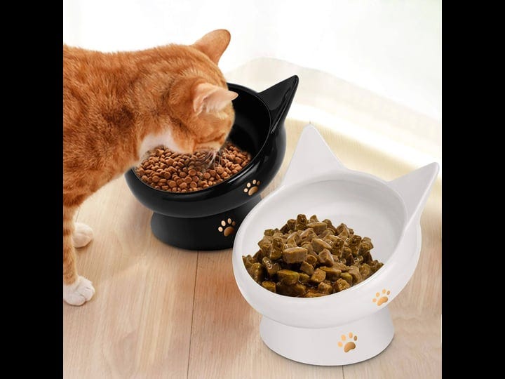 cat-bowlraised-cat-food-bowls-anti-vomitingtilted-elevated-cat-bowlceramic-pet-food-bowl-for-flat-fa-1