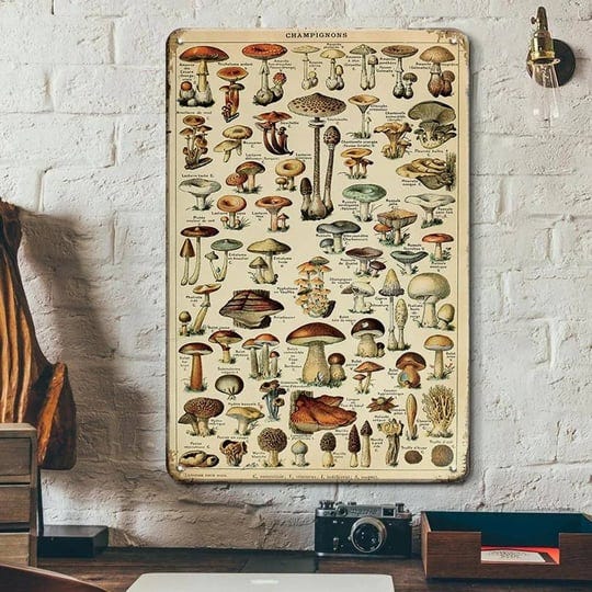 vintage-mushroom-poster-fungus-wall-art-retro-tin-sign-mushroom-species-identification-reference-mus-1