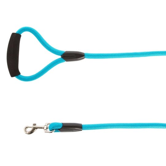top-paw-4-rope-dog-leash-teal-1-ct-1