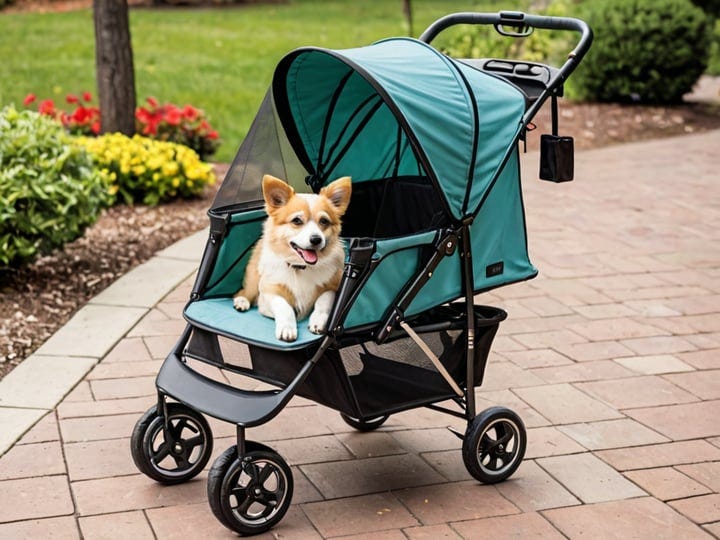 Double-Pet-Strollers-4