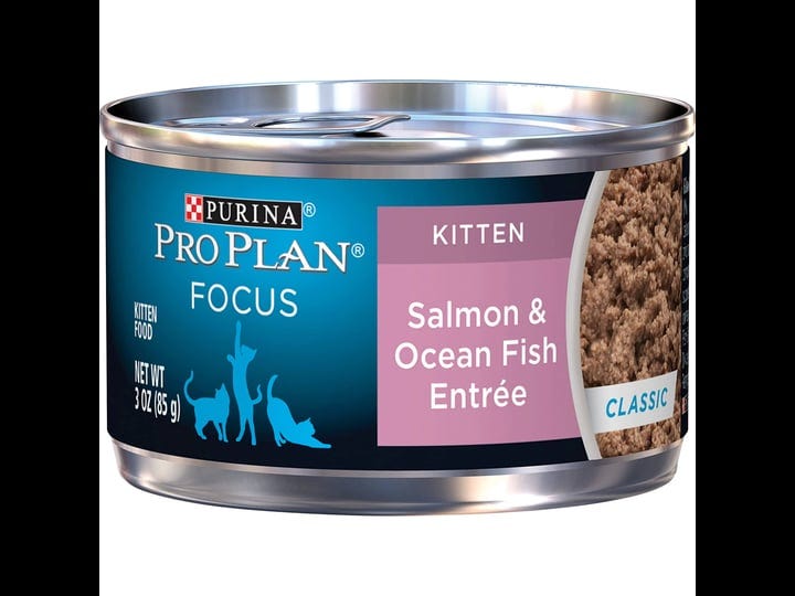 purina-pro-plan-focus-kitten-classic-salmon-ocean-fish-entree-canned-cat-food-3-oz-case-of-24-1