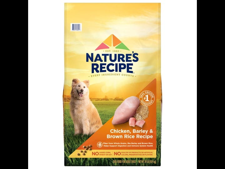 natures-recipe-adult-chicken-rice-recipe-dry-dog-food-24-lb-bag-1
