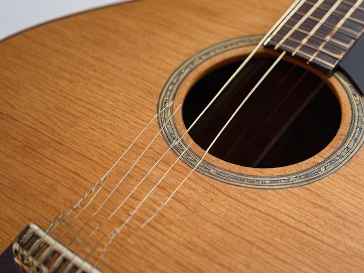 Takamine-12-String-3