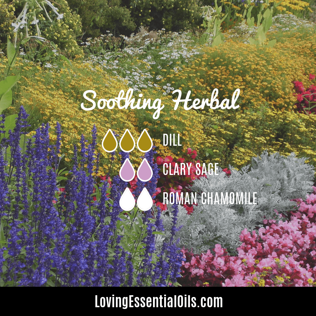 Soothing herbal dill weed oil blend by Loving Essential Oils