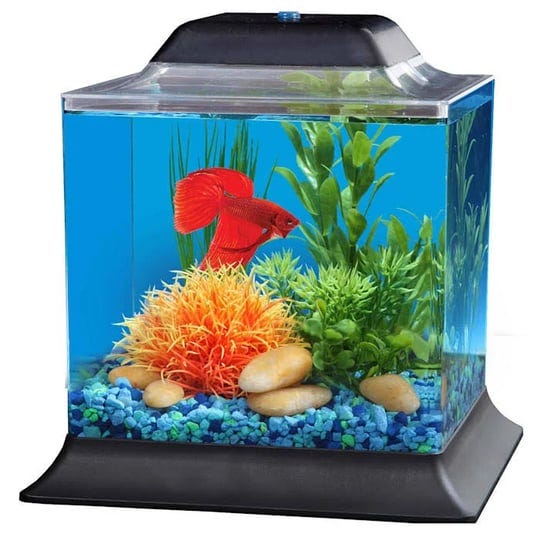 imagitarium-1-4-gallon-betta-aquarium-1