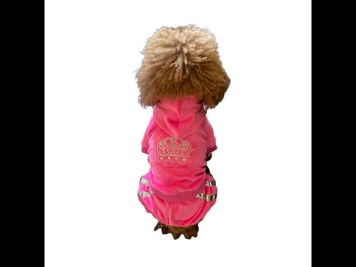 the-dog-squad-run-run-run-dog-tracksuit-hot-pink-small-1