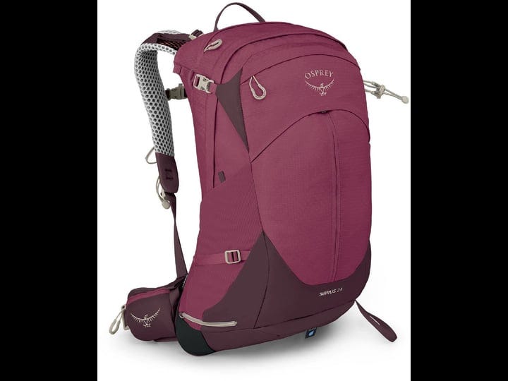 osprey-sirrus-24l-womens-hiking-backpack-elderberry-purple-chiru-tan-1