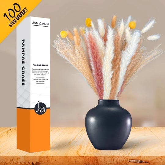 100-pcs-dried-pampas-grass-decor-small-boho-home-decor-phragmites-dried-stems-1