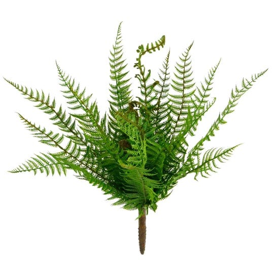 boston-fern-bush-by-ashland-1