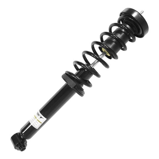 unity-15950-rear-complete-strut-assembly-1