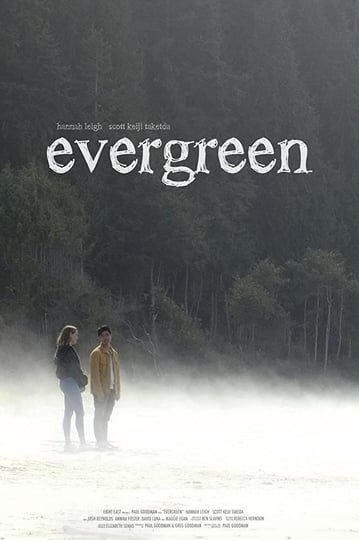evergreen-4569978-1