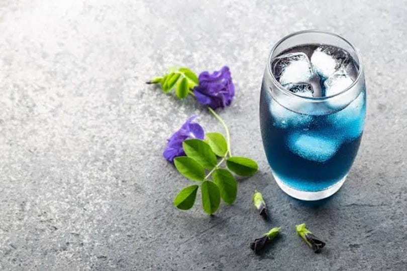 blue-mango-butterfly-pea-herbal-iced-tea-bags-1