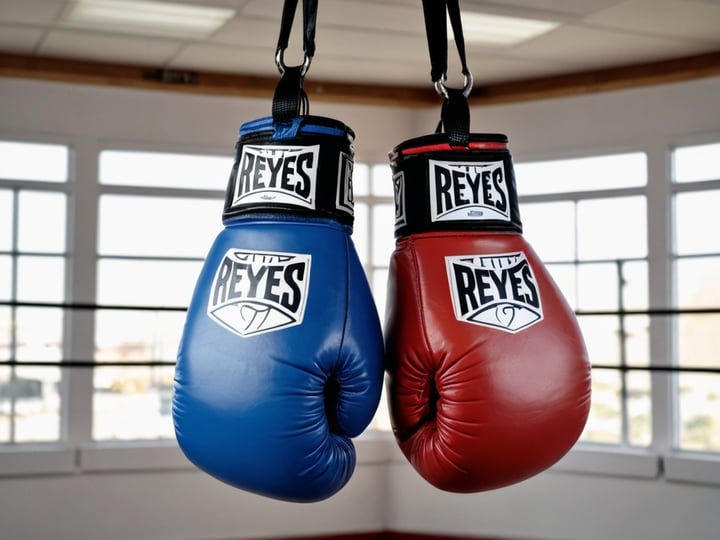 Cleto Reyes Boxing Gloves-6