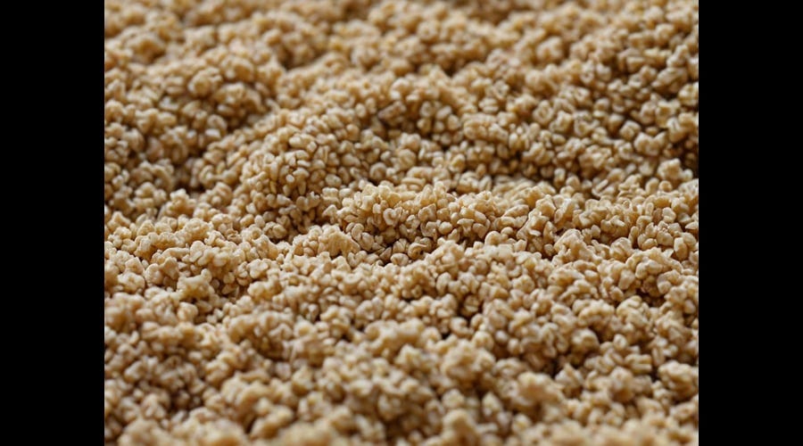 Kitty-Litter-1