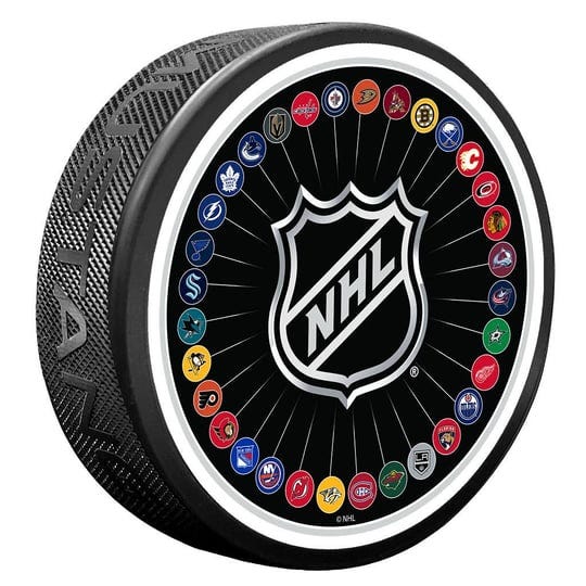 nhl-32-team-puck-1