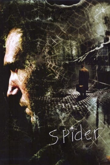 spider-148903-1