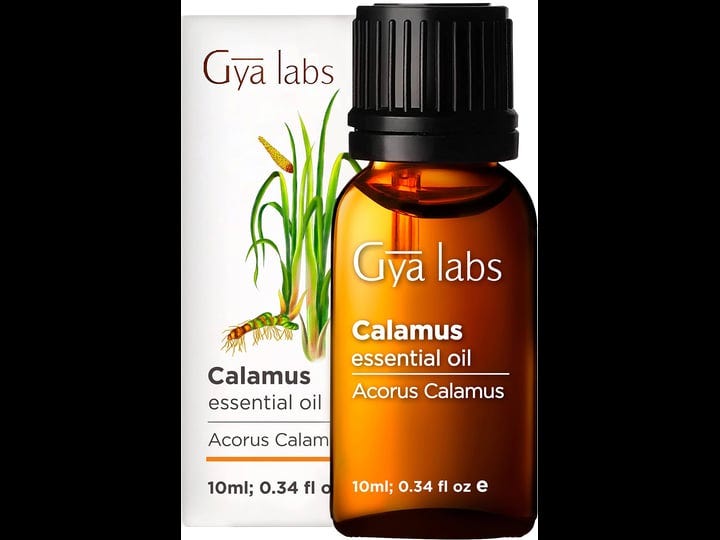 calamus-oil-1