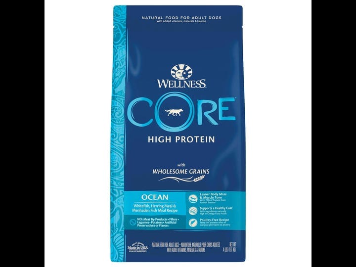 wellness-core-wholesome-grains-ocean-recipe-dry-dog-food-4-pounds-1