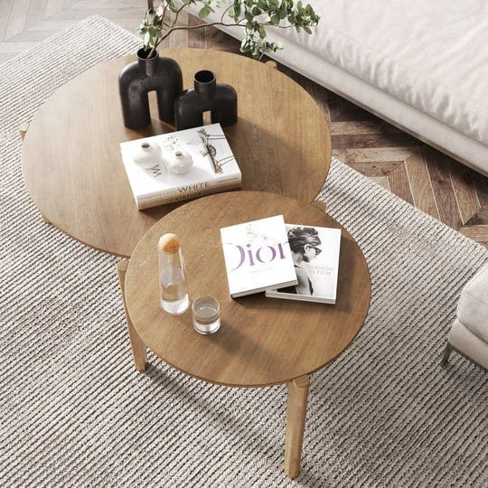 arishka-2-piece-nesting-coffee-table-set-wade-logan-1