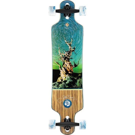 sector-9-basin-bintang-complete-longboard-1