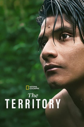 the-territory-4929079-1