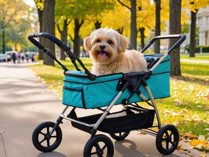 Dog-Stroller-5