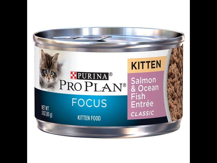 pro-plan-salmon-ocean-fish-kitten-can-food-3-oz-1