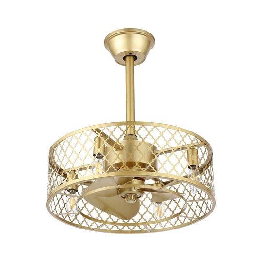 wingbo-20-caged-ceiling-fan-with-lights-and-remote-gold-industrial-ceiling-fan-with-reversible-motor-1