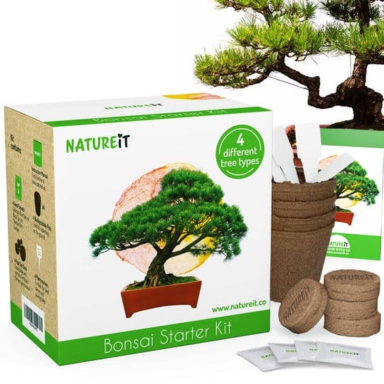 bonsai-seed-starter-kit-diy-grow-your-own-bonsai-from-seed-to-tree-1