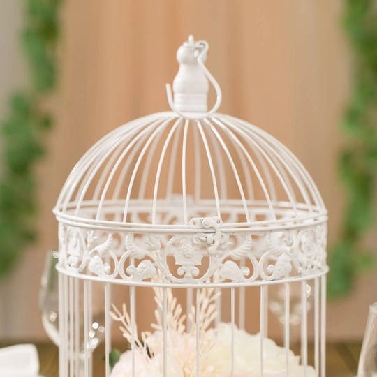 2-piece-manuel-metal-decorative-bird-cage-set-ophelia-co-1