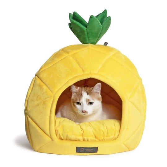 nandog-pineapple-cat-or-dog-bed-1