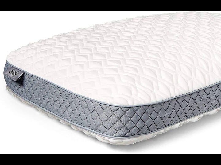 sealy-memory-foam-bed-pillow-1